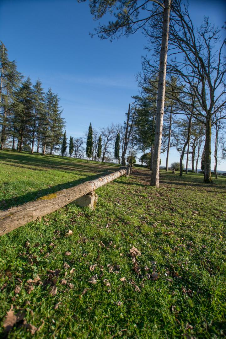 Exploitation forestière Le Passage